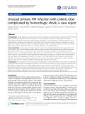 Báo cáo y học: " Unusual primary HIV infection with colonic ulcer complicated by hemorrhagic shock: a case report"