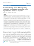 báo cáo khoa học: "  A systems biology model of the regulatory network in Populus leaves reveals interacting regulators and conserved regulation"