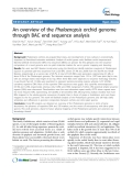 báo cáo khoa học: " An overview of the Phalaenopsis orchid genome through BAC end sequence analysis"