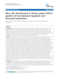 báo cáo khoa học: "  Berry skin development in Norton grape: Distinct patterns of transcriptional regulation and flavonoid biosynthesis"