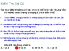 Giáo án điện tử Sinh học lớp 12: Bài 27