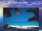 Giáo án điện tử sinh học: Sinh học lớp 12-Khu sinh học biển