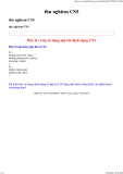 Thử nghiệm Css_4