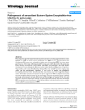 Báo cáo khoa học: "Pathogenesis of aerosolized Eastern Equine Encephalitis virus infection in guinea pigs"