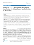 báo cáo khoa học: "  Analysis of a c0t-1 library enables the targeted identification of minisatellite and satellite families in Beta vulgaris"
