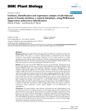 báo cáo khoa học: "  Isolation, identification and expression analysis of salt-induced genes in Suaeda maritima, a natural halophyte, using PCR-based suppression subtractive hybridization"
