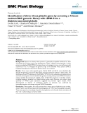 báo cáo khoa học: "  Identification of three wheat globulin genes by screening a Triticum aestivum BAC genomic library with cDNA from a diabetes-associated globulin"