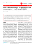 Báo cáo y học: " Molecular epidemiology of Japanese encephalitis virus circulating in South Korea, 1983-2005"
