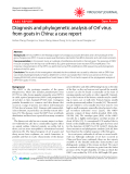 Báo cáo y học: "  Diagnosis and phylogenetic analysis of Orf virus from goats in China: a case report"