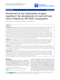 Báo cáo hóa học: "Involvement of aryl hydrocarbon receptor signaling in the development of small cell lung cancer induced by HPV E6/E7 oncoproteins"