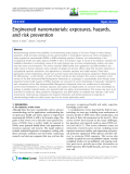 báo cáo hóa học: "  Engineered nanomaterials: exposures, hazards, and risk prevention"