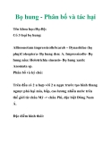 Bọ hung - Phân bố và tác hại