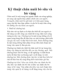 Kỹ thuật chăn nuôi bò sữa và bò vàng