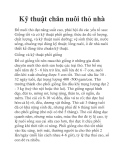 Kỹ thuật chăn nuôi thỏ nhà