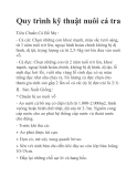 Quy trình kỹ thuật nuôi cá tra