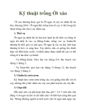 Kỹ thuật trồng Ớt xào