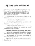 Kỹ thuật chăn nuôi heo nái