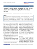 Báo cáo hóa học: " Study of the formation processes of gold droplet arrays on Si substrates by high temperature anneals"