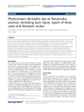Báo cáo hóa học: " Phytocontact dermatitis due to Ranunculus arvensis mimicking burn injury: report of three cases and literature review"