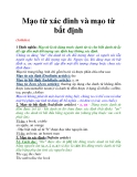 Mạo từ xác đinh và mạo từ bất định