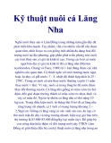 Kỹ thuật nuôi cá Lăng Nha