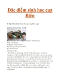Đặc điểm sinh học cua Biển