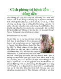Cách phòng trị bệnh đốm đồng tiền
