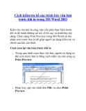 Cách kiểm tra bố cục trình bày văn bản trước khi in trong MS Word 2003