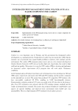 Báo cáo nghiên cứu khoa học " INTEGRATED PEST MANAGEMENT USING WEAVER ANTS AS A MAJOR COMPONENT FOR CASHEW "