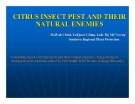 Báo cáo nghiên cứu khoa học " CITRUS INSECT PEST AND THEICITRUS INSECT PEST AND THEIR NATURAL ENEMIES "