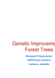 Báo cáo nghiên cứu khoa học " Genetic Improvement of Forest Trees "