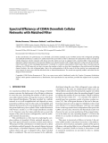 Báo cáo hóa học: "  Spectral Efﬁciency of CDMA Downlink Cellular Networks with Matched Filter"
