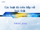 Các loại đá trên lớp vỏ Trái Đất