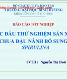 Bài báo cáo bước đầu thử nghiệm sản xuất sữa chua đậu nành bổ sung tảo Spirulina 