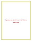 Nguy hiểm rình rập trên Port 445 của Windows 2000/XP/2003