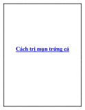 Cách trị mụn trứng cá.