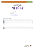Bài tập lớn môn Vi xử lý