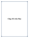 Chạy IE trên Mac