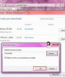 Tùy biến Internet Explorer 9 trên Windows