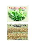 CÔNG NGHỆ SẢN XUẤT TRÀ  CNCB TRÀ XANH