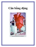 Cân bằng động 