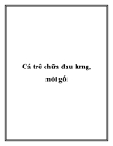 Cá trê chữa đau lưng, mỏi gối