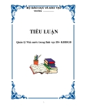 TIỂU LUẬN: Quản lý Nhà nước trong lĩnh vực DS- KHHGĐ