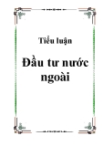 Tiểu luận Đầu tư nước ngoài 