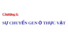 Chương 6:  SỰ CHUYỂN GEN Ở THỰC VẬT