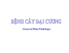 CÁC LOẠI  BỆNH CÂY ĐẠI CƯƠNG