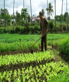 Bài giảng về Hệ thống canh tác