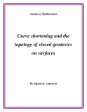 Đề tài "  Curve shortening and the topology of closed geodesics on surfaces "