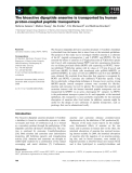Báo cáo khoa học: The bioactive dipeptide anserine is transported by human proton-coupled peptide transporters