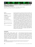 Báo cáo khoa học: Role of the plasma membrane leaﬂets in drug uptake and multidrug resistance